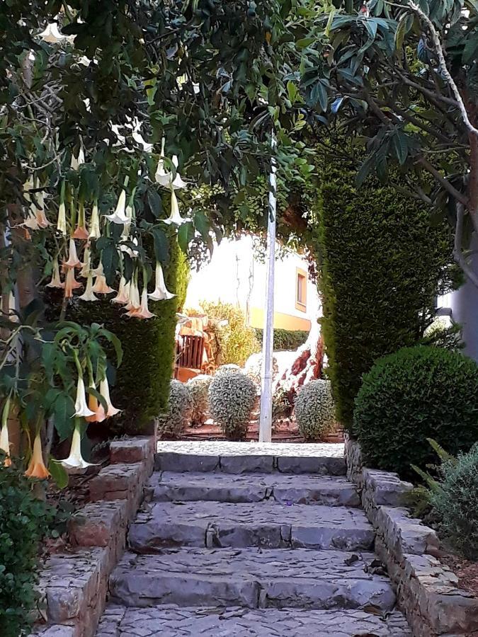 Aparte Wohnung Mit Sudterrasse Am Park Tavira Exteriér fotografie